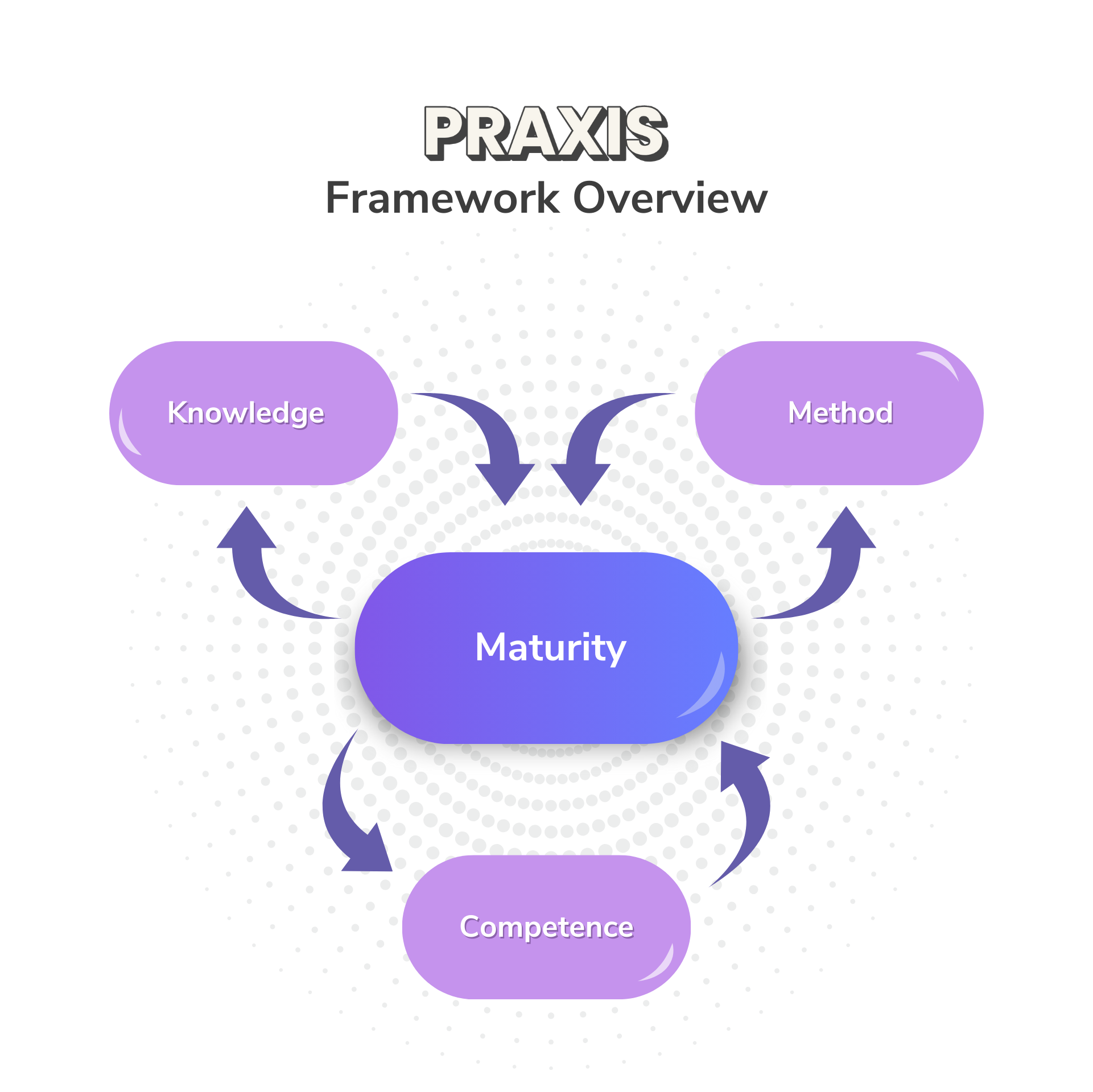 Praxis Framework Overview